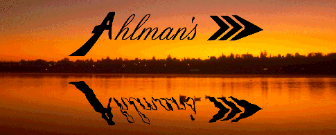 ahlmansbanner2.gif