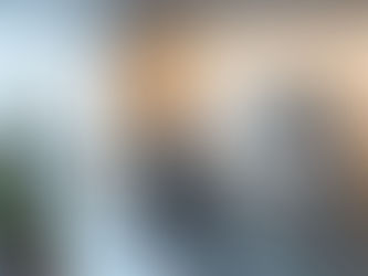 EL COMITÉ DE CONVIVENCIA LABORAL