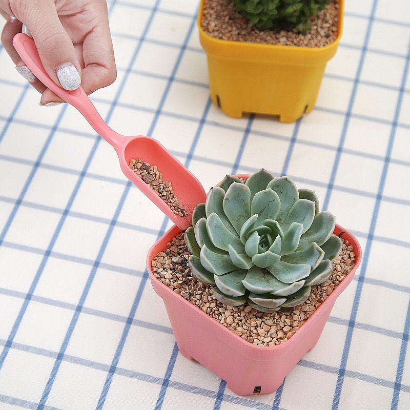Thumbnail: Garden soil scoop spoon