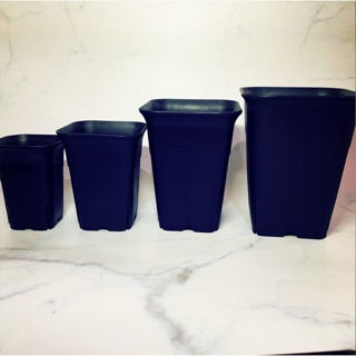 Thumbnail: Wanxiang pot black square