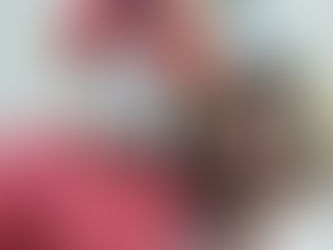 Carnaval ECOMPO 2019