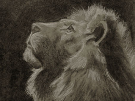 Why I Love Charcoal Drawing