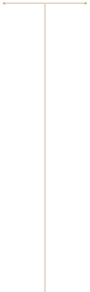BrandLINES.png