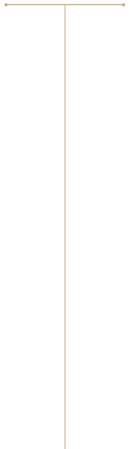 BrandLINES.png