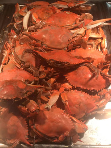 BLUE CRAB.jpg