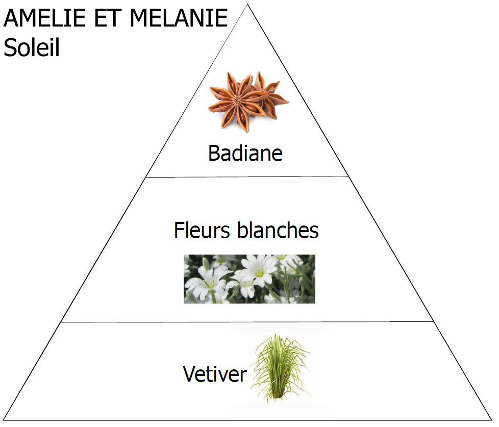 Miniature : Parfum d'ambiance