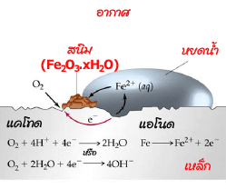 คราบสนิมบนผ้า คราบสนิมบนผ้า