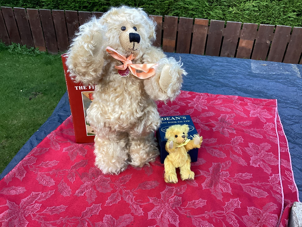 Thumbnail: Deans 100 year book and teddys