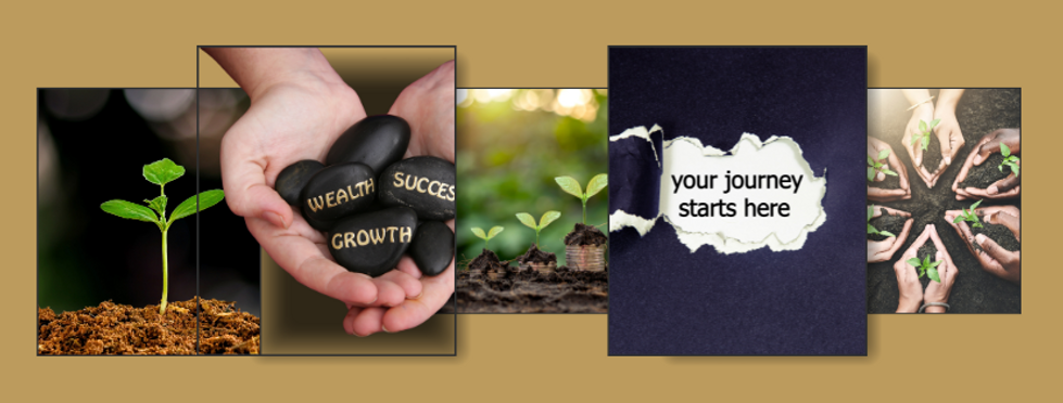 Mentorship Graphics