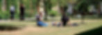 Regent's Park banner.jpg