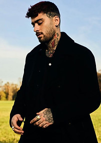 Zayn-IMG_3730-Credit_-Daniel-Prakopcyk--1024x683.jpg