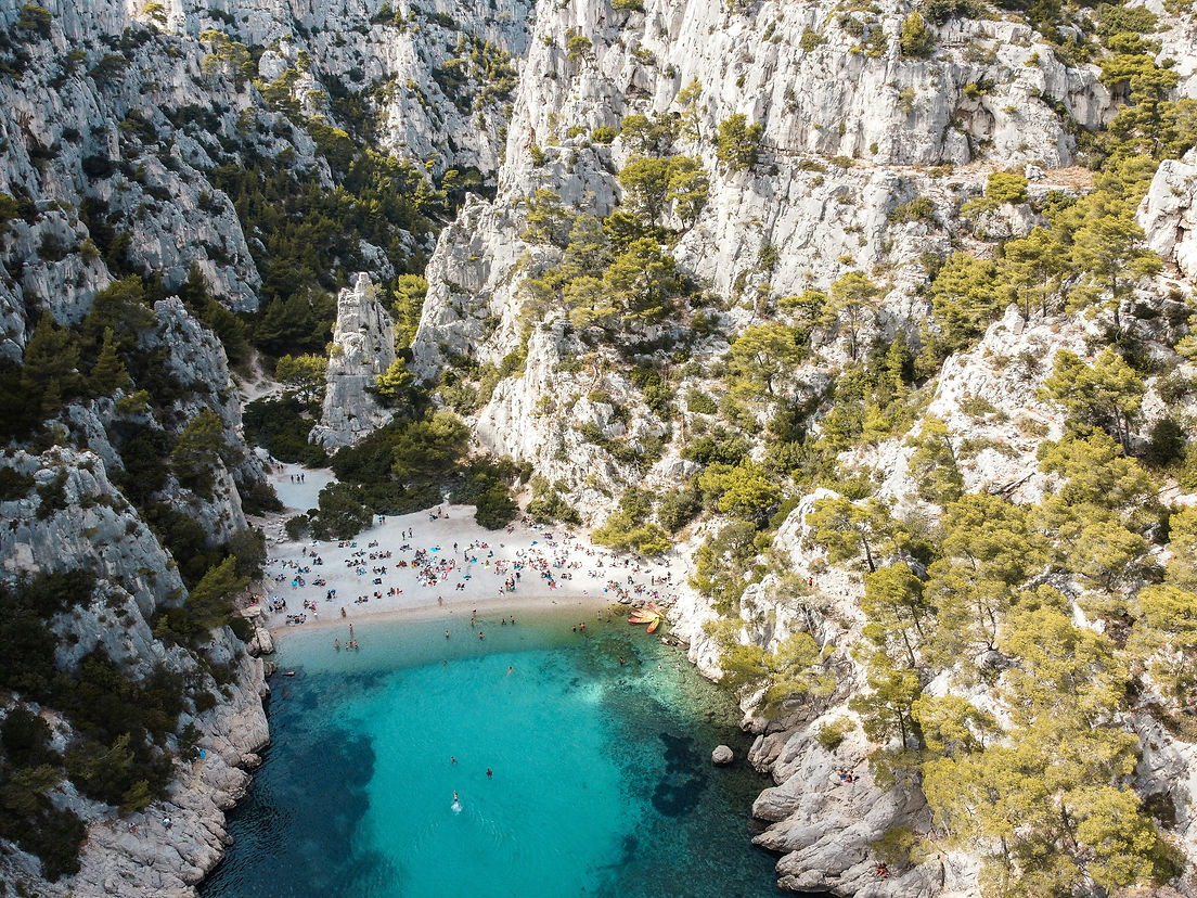 simon-pallard-wclZPiK52Xo-unsplash.jpg