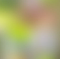 Emocinio intelekto ugdymas: Susidraugaukime su emocijomis