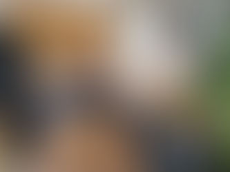 Inventaires de biens meublés - INLOC