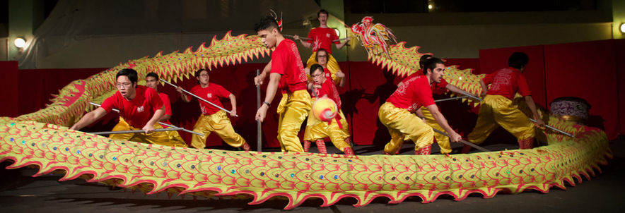 Dragons and Lions
