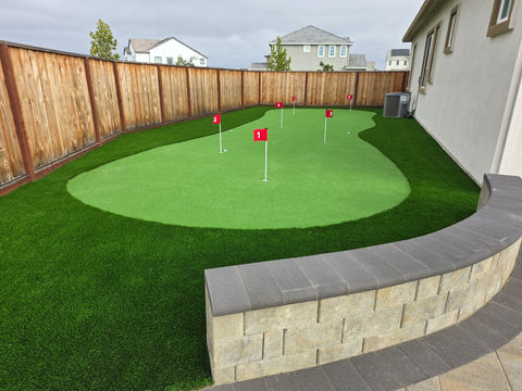 Synthetic Backyard Designs