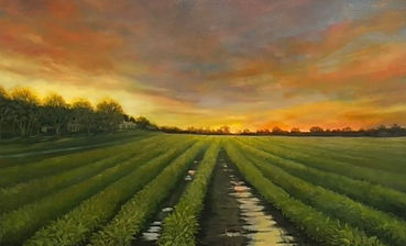 pouncey farm.jpeg