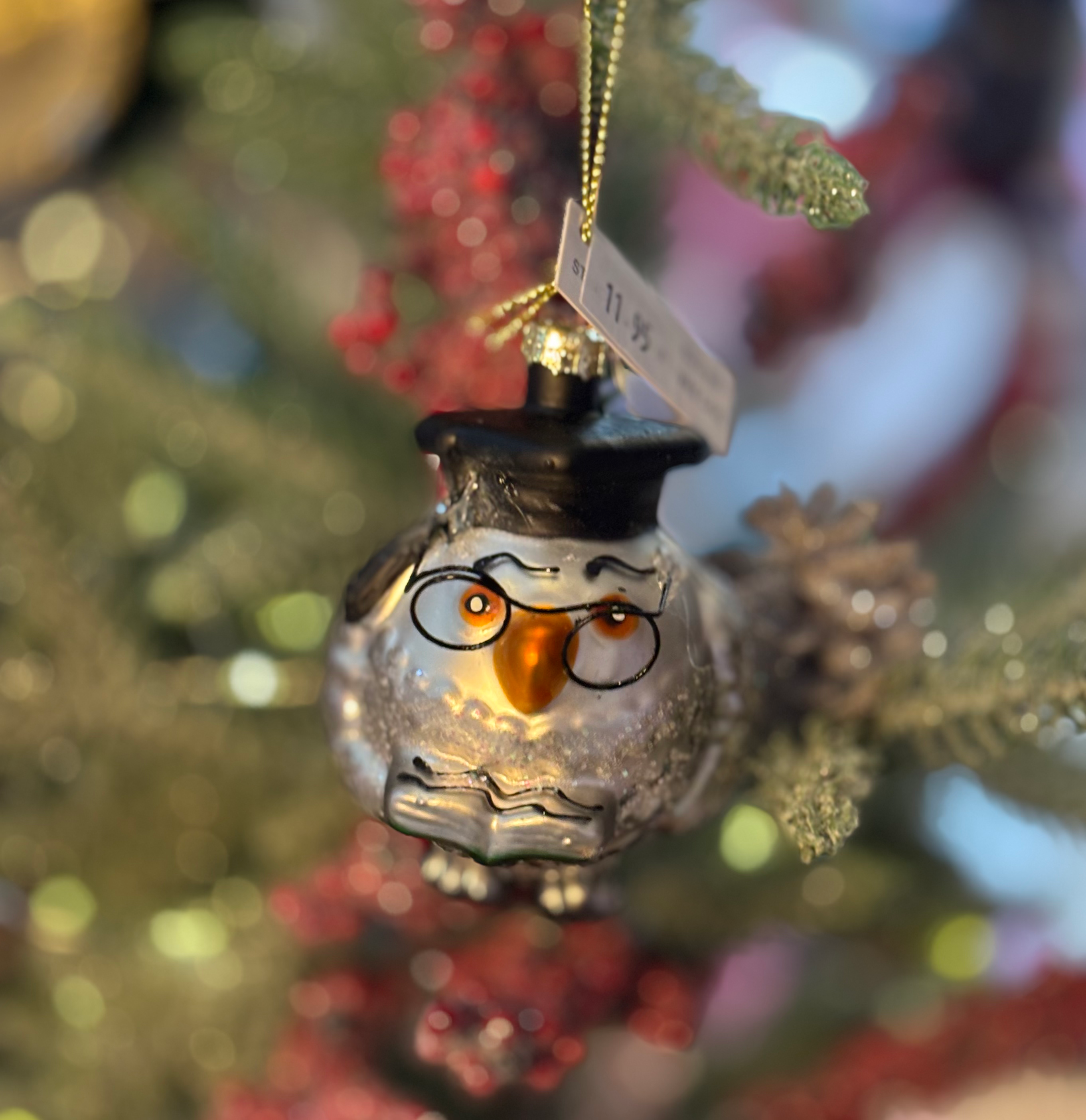  Glass Graduation Owl