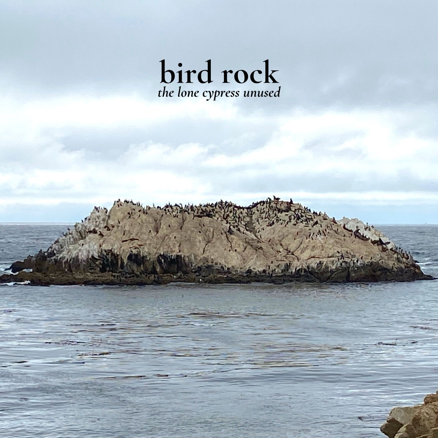 aross0805 - Bird Rock: The Lone Cypress Unused