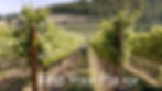 Untitled00000090 copy.jpg