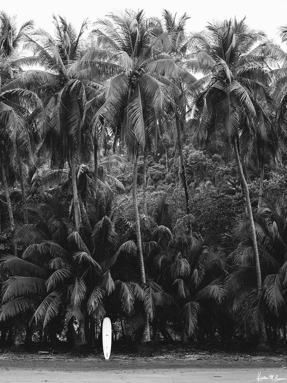 Thumbnail: Costa Rica 11"x14" Photo Prints by Samba to the Sea