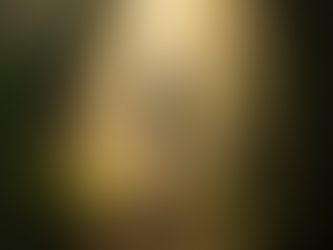 The Truth About Abuse No One Wants to Talk About