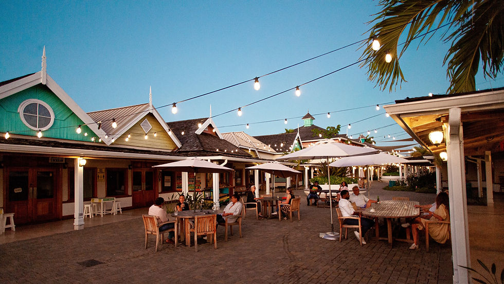 top banner-jpeg_edited.jpg