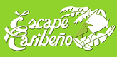 Captura de pantalla 2026-07-20 a las 11.04.21AM.png
