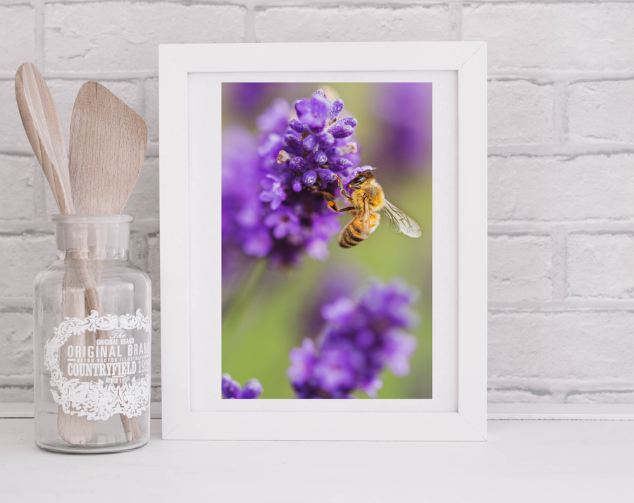 Lavender Bee Portrait mock up1.png