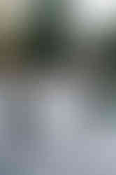 Alicia the very happy bride with her maids