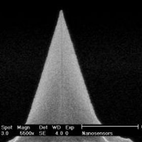 新皋企業 NANOSENSORS PPP-NCR AFM 原子力顯微鏡探針