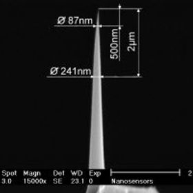 新皋企業 NANOSENSORS PPP-NCR AFM 原子力顯微鏡探針