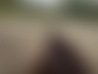 Internationell debut för Bonafide i Ålborg