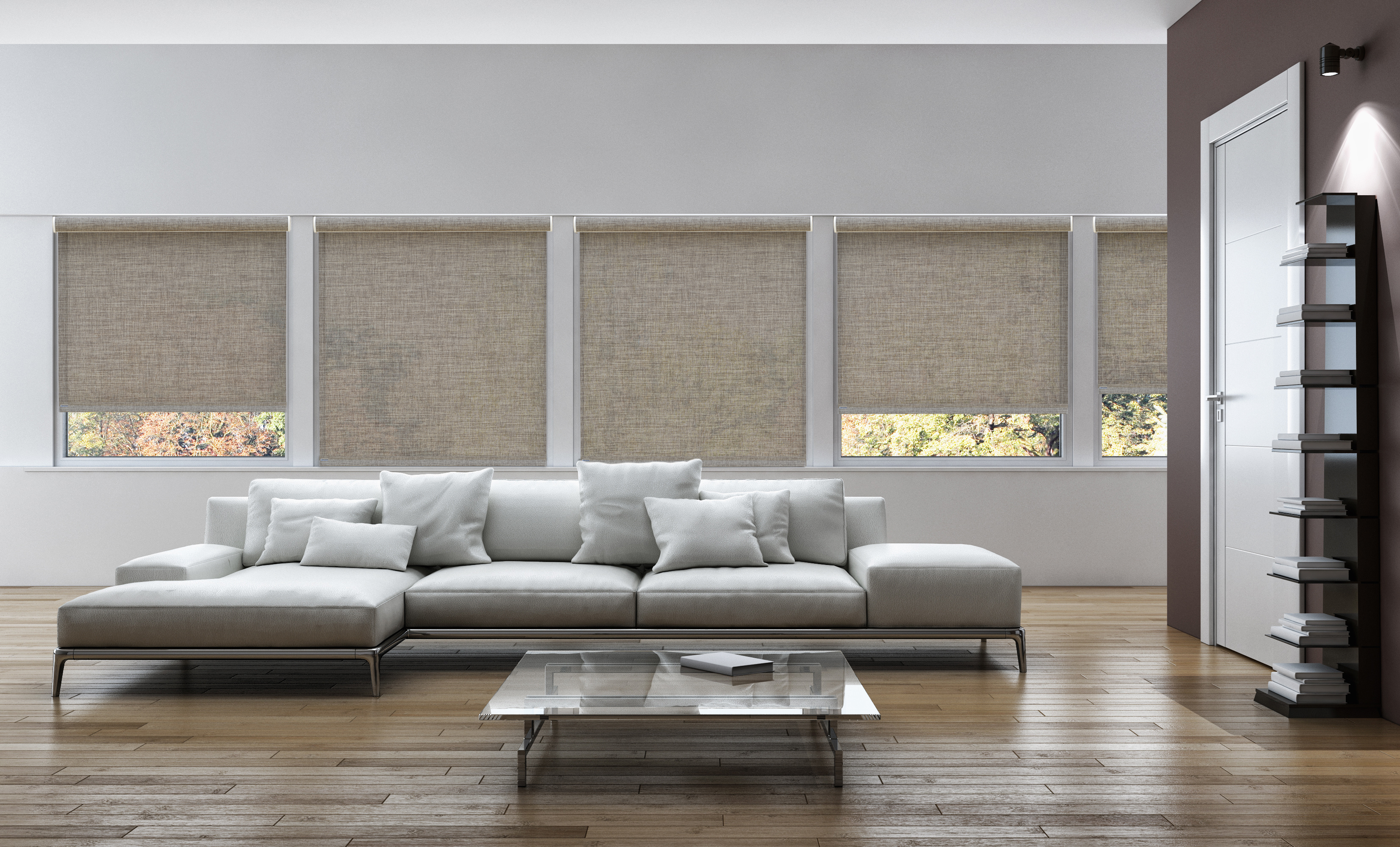roller shades