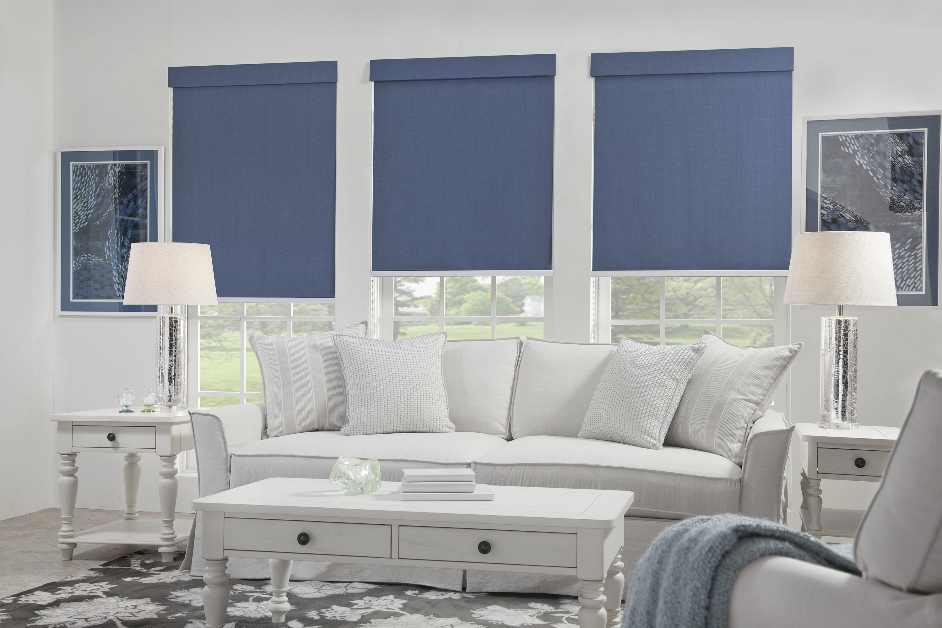 Blue Roller Shades