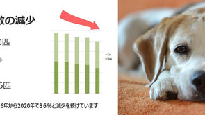 文の日、犬猫のたちのために、届けたい文があります。