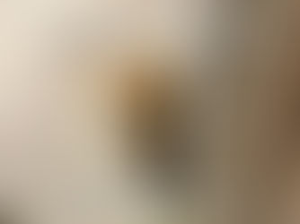 命は大切です。