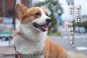 53年前の今日、人類は月面に着陸しました。