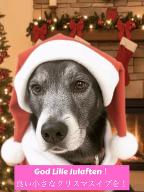 世界のクリスマス前夜祭 ～ 日本独自の「イブイブ」とノルウェーの「小さなクリスマスイブ」