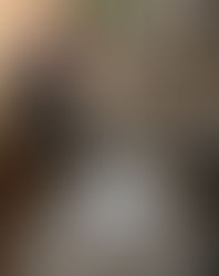 愛犬・愛猫との絆を深めるために知っておきたいこと