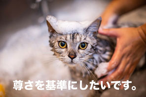 人は自分に都合よく基準を設けてしまいがちですが