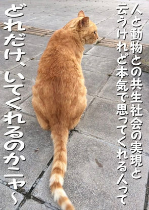 共生社会を実現!