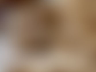 冬至の「猫の年取り」とは?