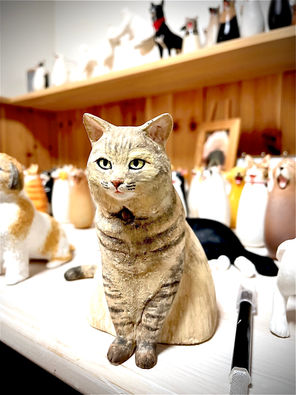 マヌルネコの日