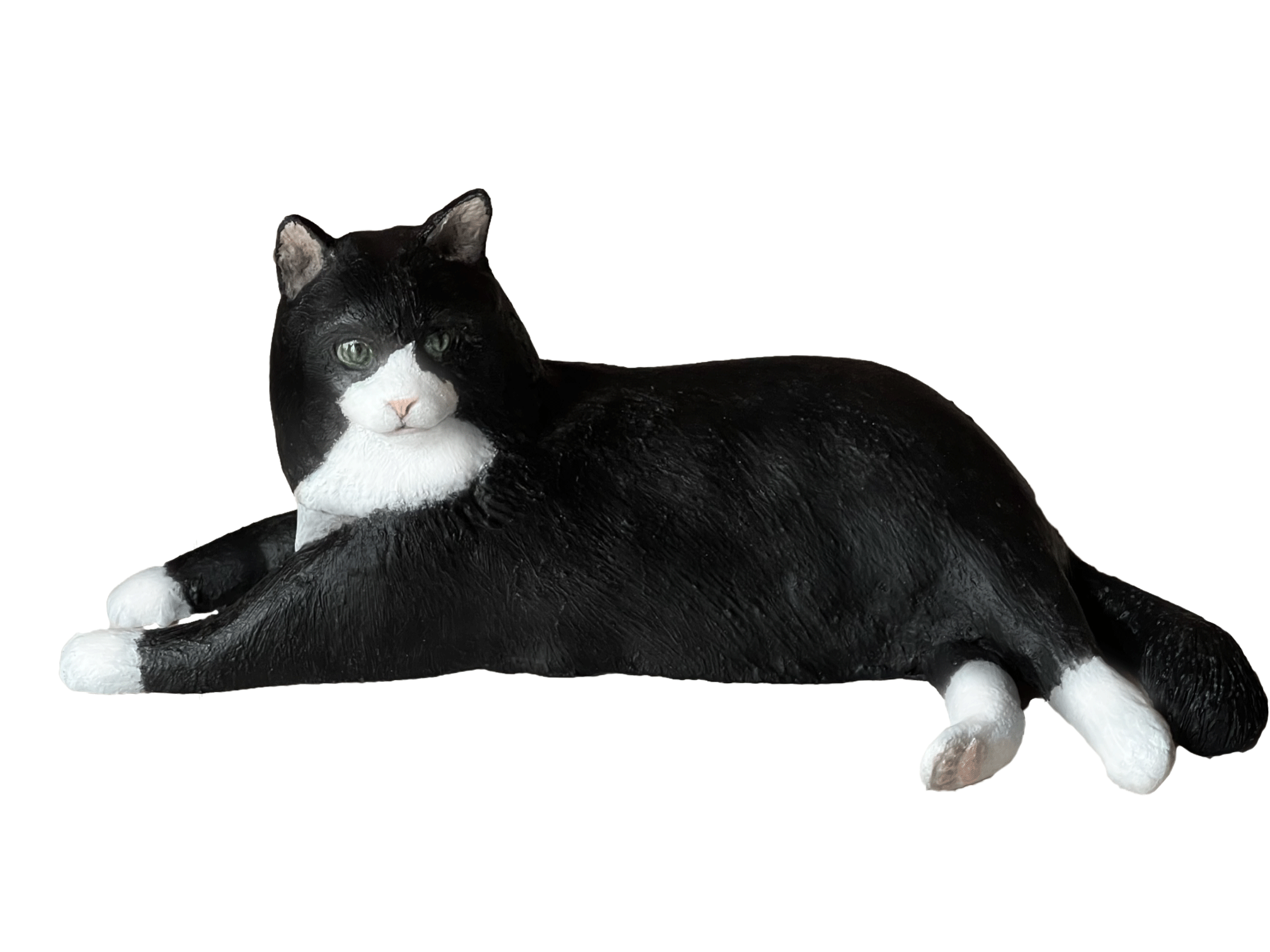 白黒ニャンの