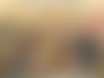 The Okage dog is a miraculous part of Japan's history.