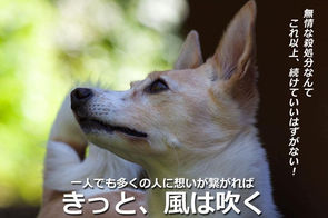 春日祭