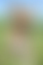 東京が一番寒かった日