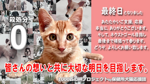 ありがとうございました。本日、最終日