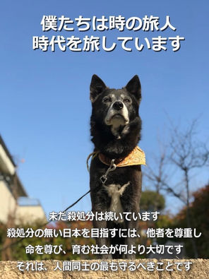 誰も皆、時の旅人